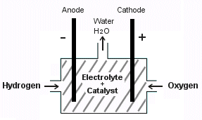 Hydrogen Fuel Cell